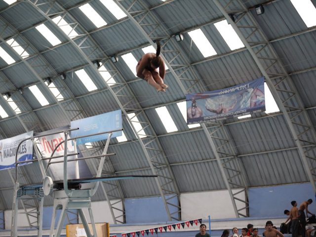 juvenil-10